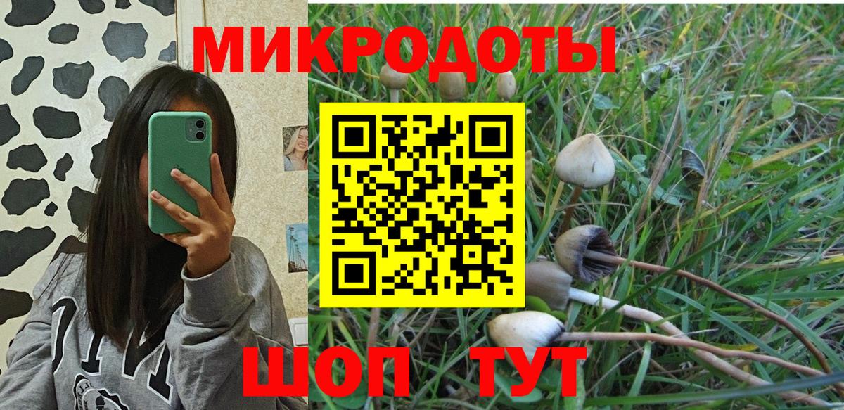 Галлюциногенные грибы Psilocybine cubensis  Вход с VPN  Гусев 