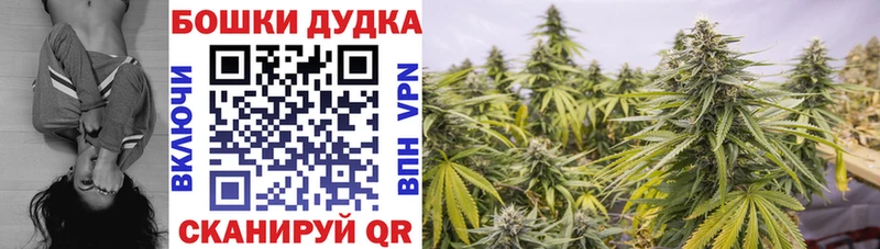 магазин    Гусев  Шишки марихуана Bruce Banner 